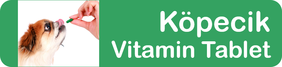 Köpek Vitamini