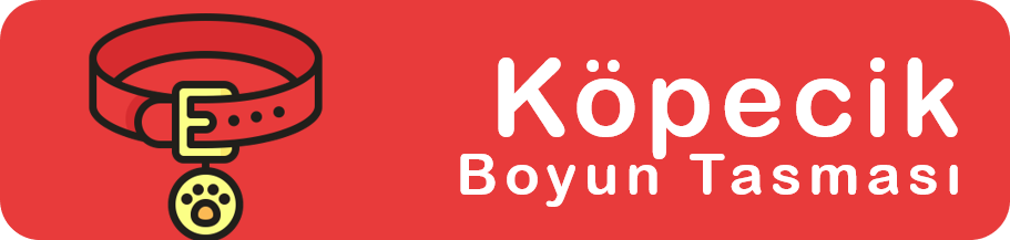 Köpek Boyun Tasması