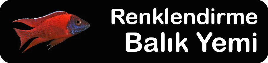 Renklendirme Balık Yemi