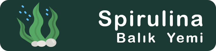 Spirulina Balık Yemi