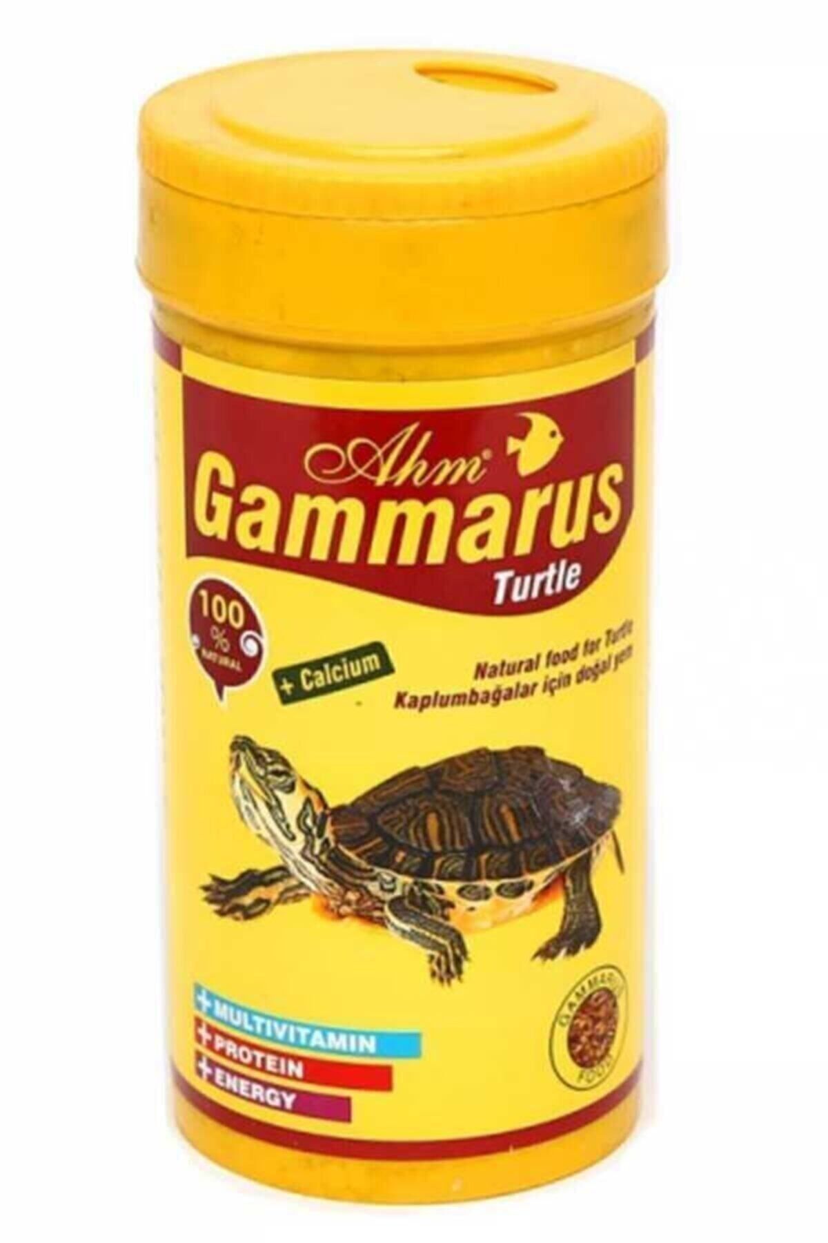 Ahm Gammarus Kaplumbağa Yemi Karides 250 ml