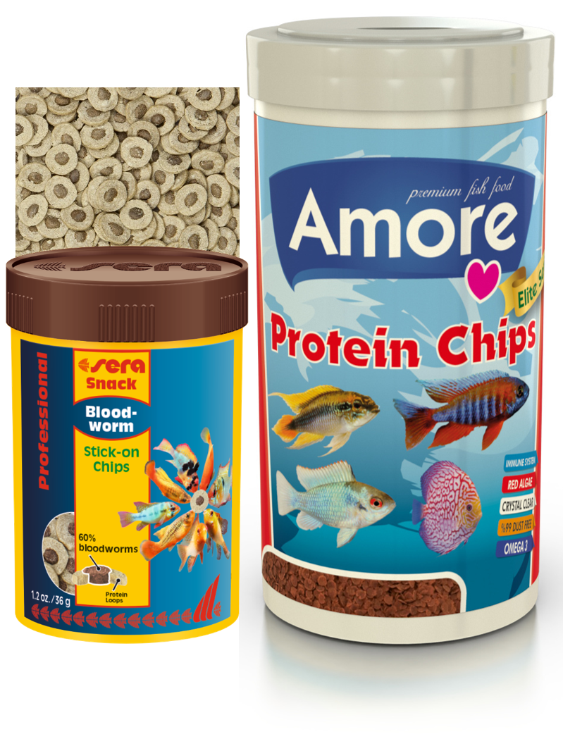 Amore Elite Protein Red Algae Pro Chips 250 Ml Kutu Ve Sera Bloodworms Stick-on Chips Kan Kurdu 36gr