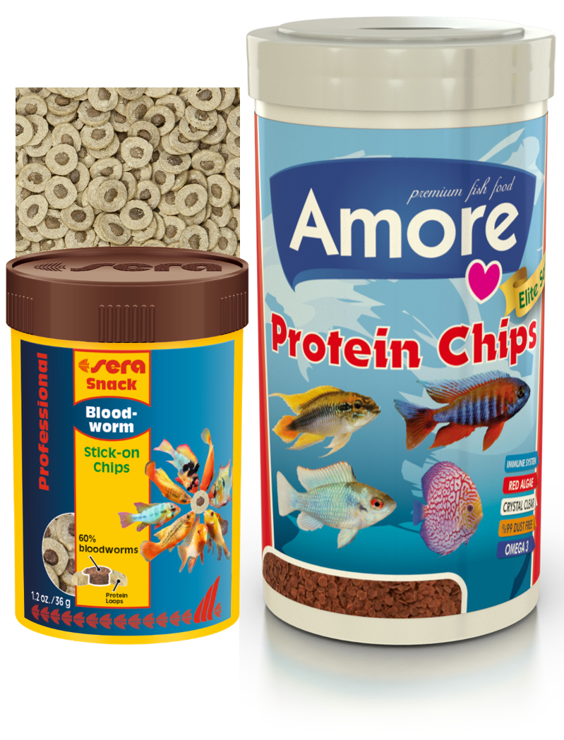 Amore Elite Protein Red Algae Pro Chips 250 ml Kutu ve Sera Bloodworms Stick-On Chips Kan Kurdu 36gr