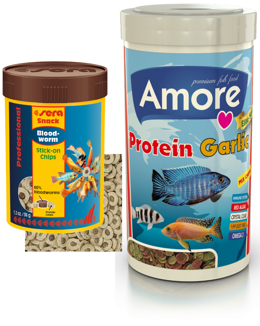 Amore Bloodworms Stick-on Chips Kan Kurdu Bloodworms 36gr Kutu Ve Protein Red Algae Garlic Pro Chips 250 Ml Kutu