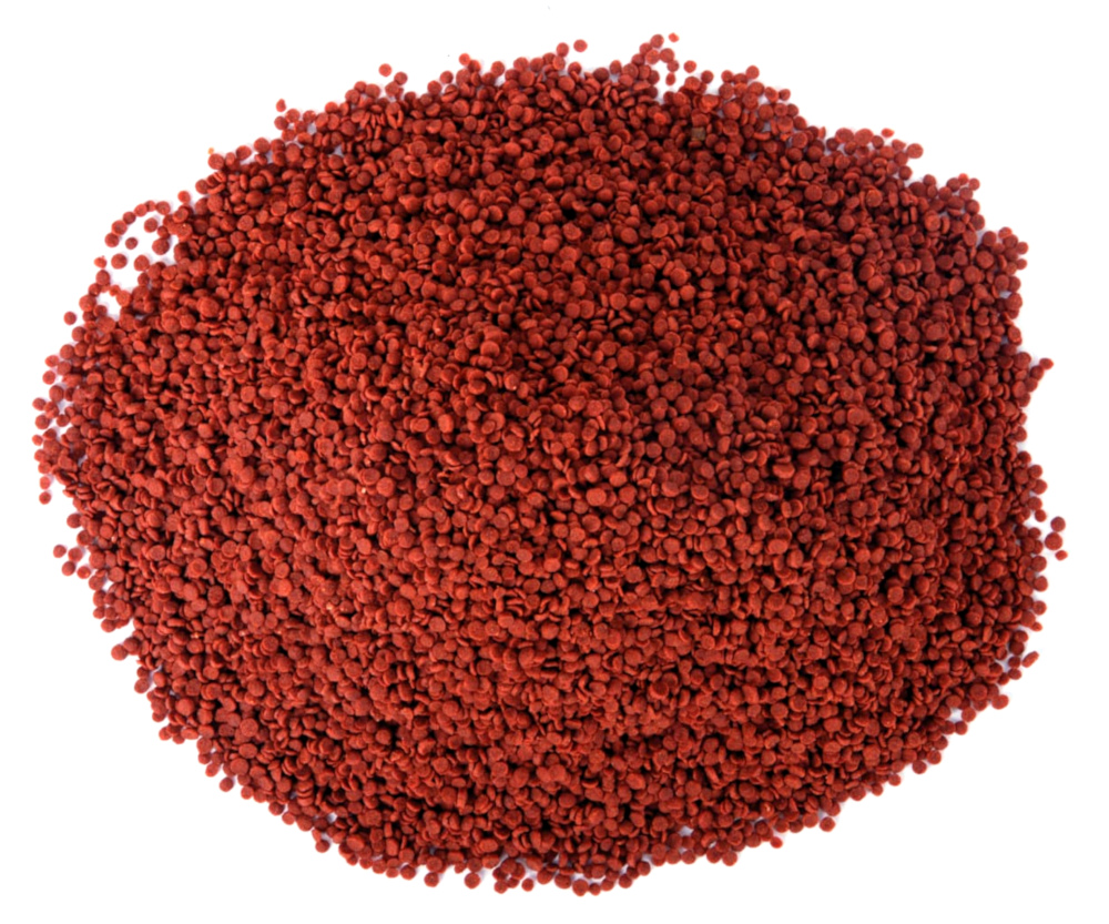 Amore Cichlid Red Granules 1000 ml ve Lotus Ciklet Colour Chips 250 ml Akvaryum Balık Yemi