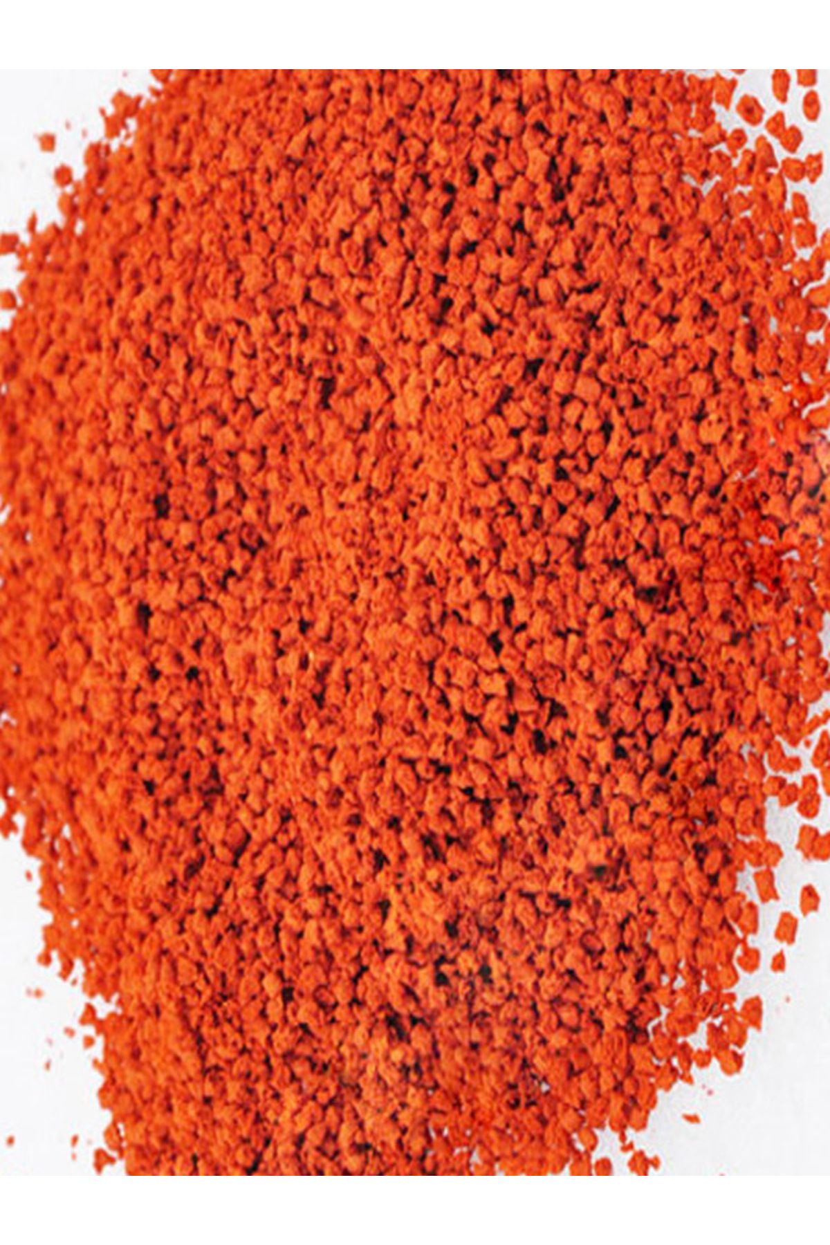 Tetra Discus Bits,Pro Colour Chips,Lotus Protect Mix, Garlic,4-Mix-530gr Balık Yemi,Multivitamin