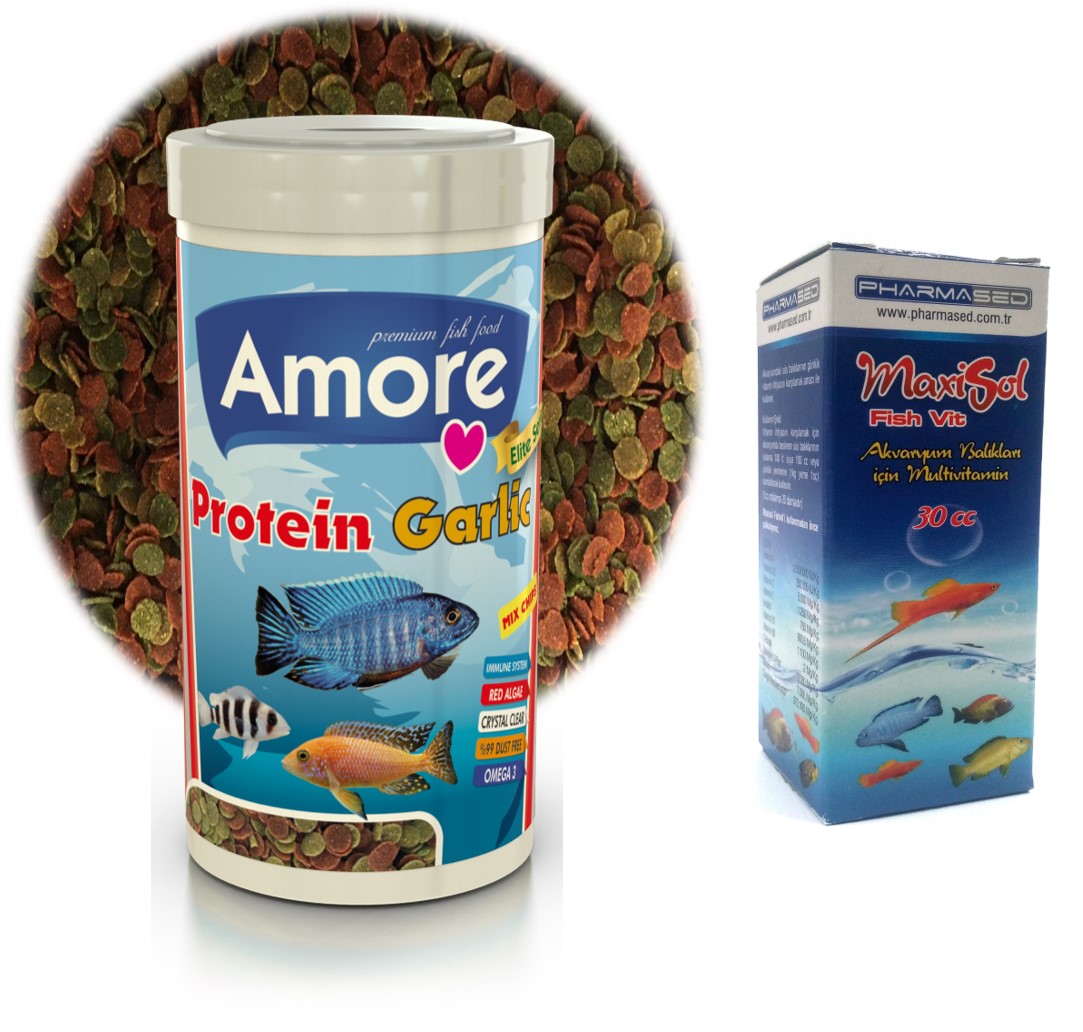 Amore Elite Protein Garlic 250ml Kutu Balık Yemi ve Fishvit Vitamin 30cc