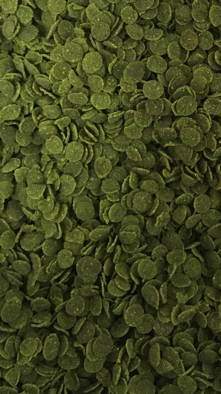 Amore Elite Veggie Green Algae Chips 250ml + Lotus Spirulina Garlic 100ml Tropikal ve Tropheus Balık Yemi