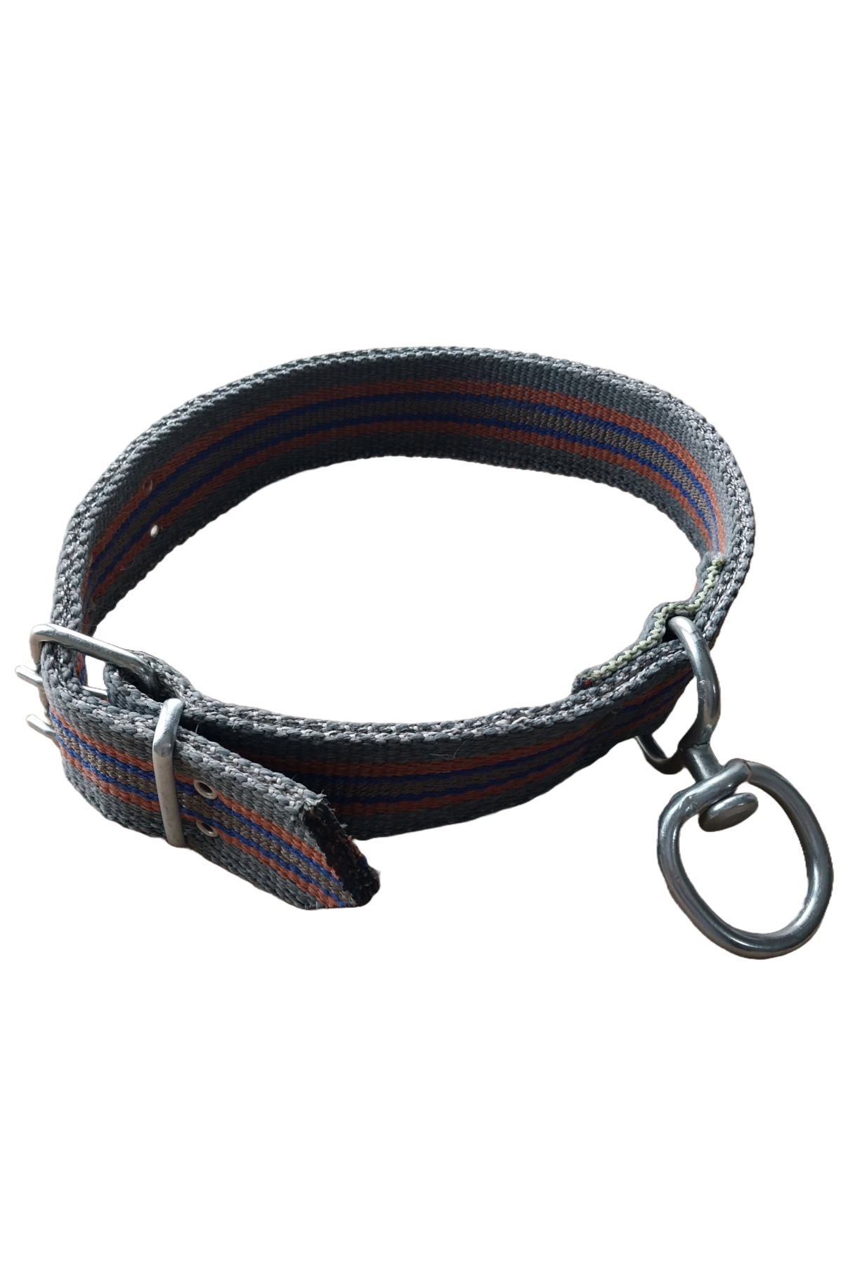 Amoredog Extra Saglam Kangal Palaska Boyun Tasmasi Turuncu Duman 58-75 Cm Large