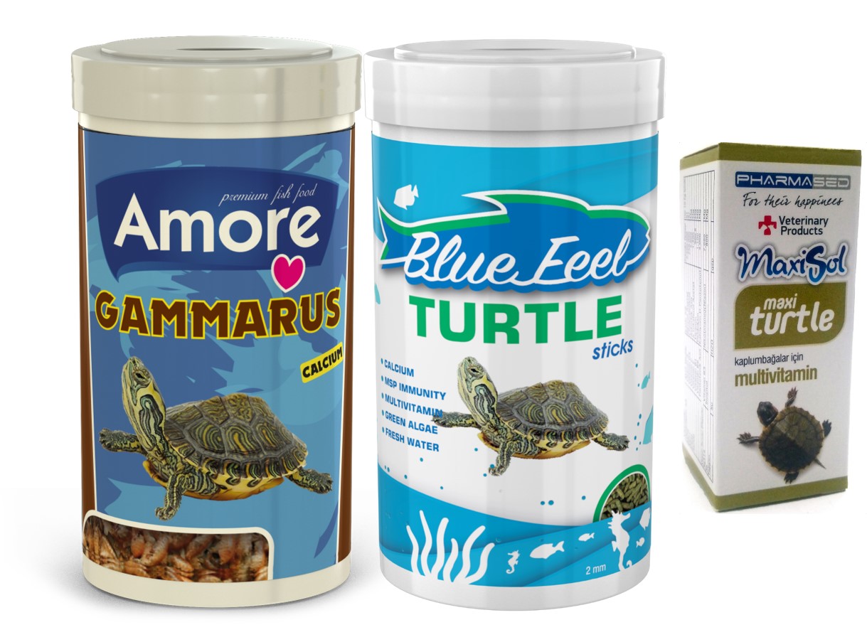Amore Gammarus 250 Ml Ve Bluefeel Turtle Sticks 250 Ml Kutu Ve Multivitamin 30cc