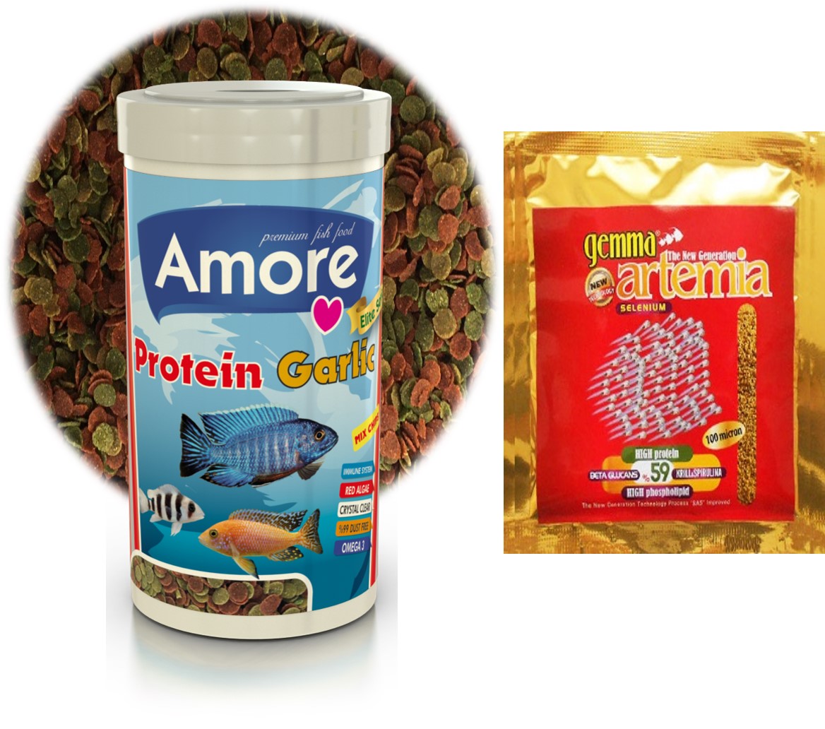 Gemma Artemia 10 g Zarf + Amore Protein Garlic 250ml Kutu Balık Yemi