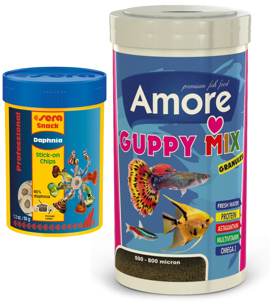 Amore Guppy Mix Granules 1000ml Kutu ve Sera Daphnia Su Piresi 100ml Kutu Tropikal Balık Yemi