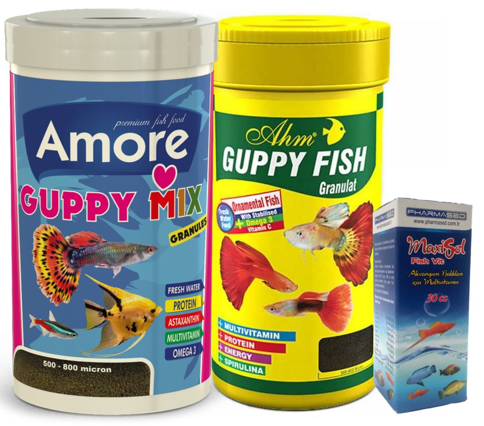 Amore Guppy Tropikal Lepistes Moli Kılıç Melek Tetra Akvaryum Balık Yemi 2x250ml ve Vitamini Set AHM