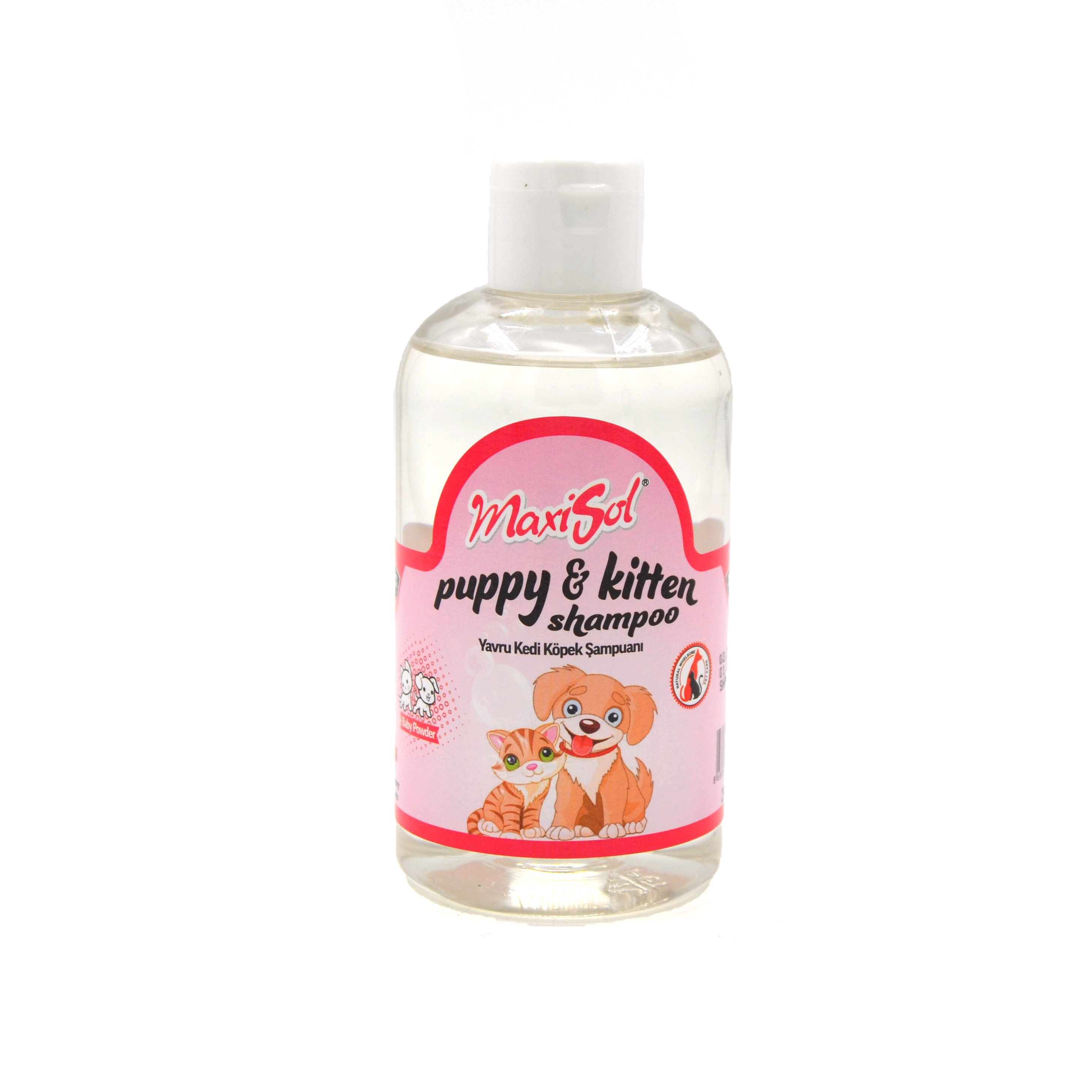 Amore Kuzu Etli Yavru Köpek Konserve Pate + Chunks ve Şampuan 200ml