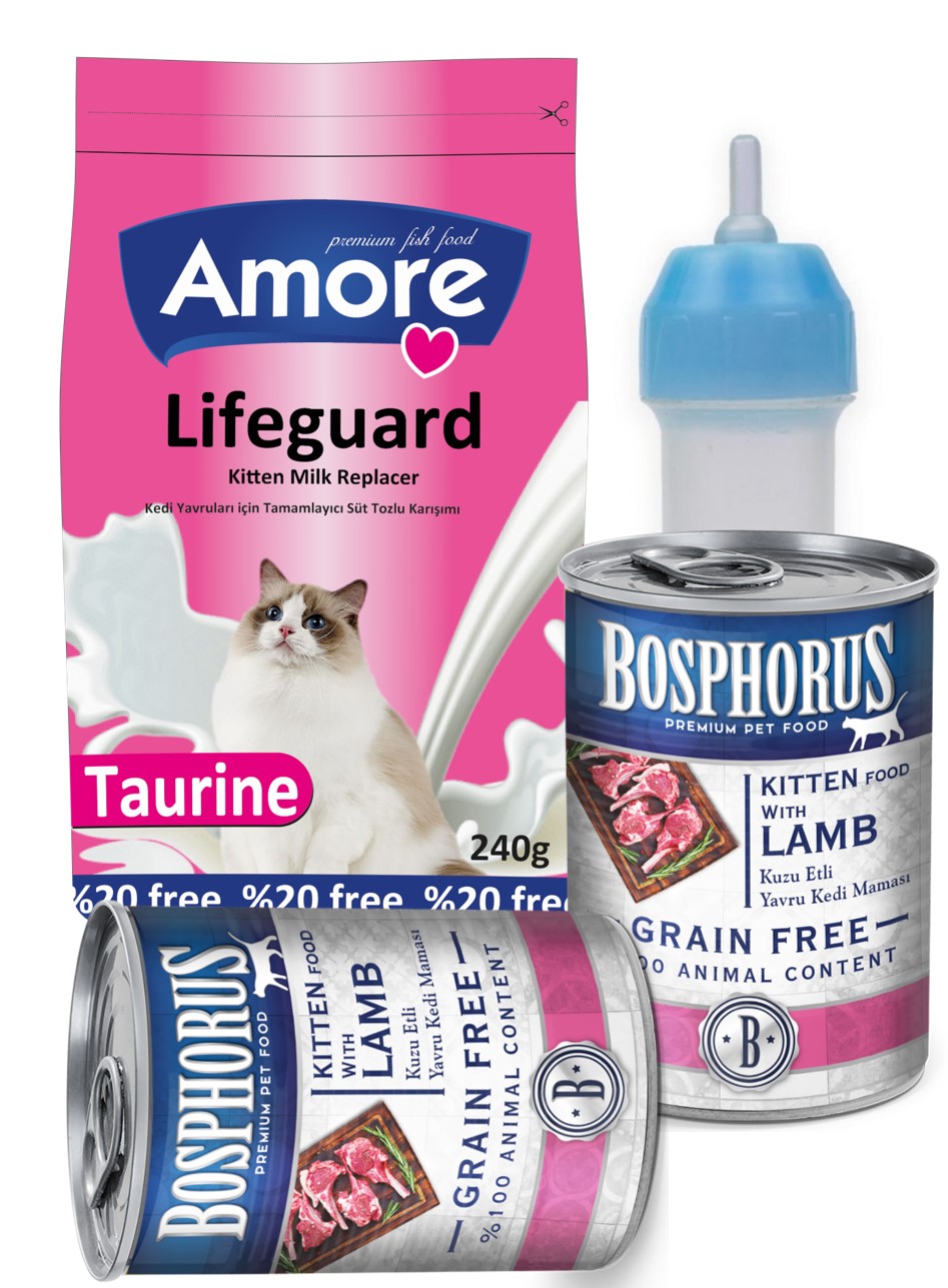 Amorecat Lifeguard Yavru Kedi Süt Tozu 240gr + Biberon + Kitten Konserve 2x415gr