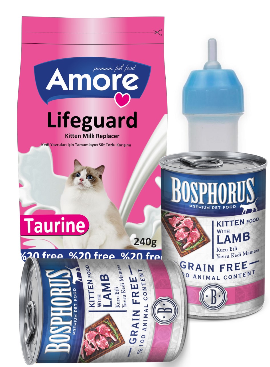 Amore LifeGuard Yavru Kedi Süt Tozu 240gr + Biberon + Kitten Konserve 2x415gr