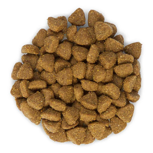 Amore LifeGuard Yavru Kedi Süt Tozu 2x240gr + Biberon + Hills Kitten 100g ZipPack