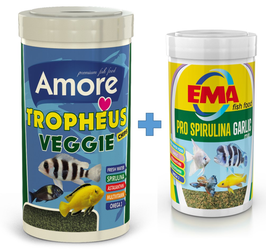 Amore Tropheus Veggie Chips 1000 ml + Ema Pro Spirulina Garlic 250 ml Tanganyika Ciklet Balık Yemi