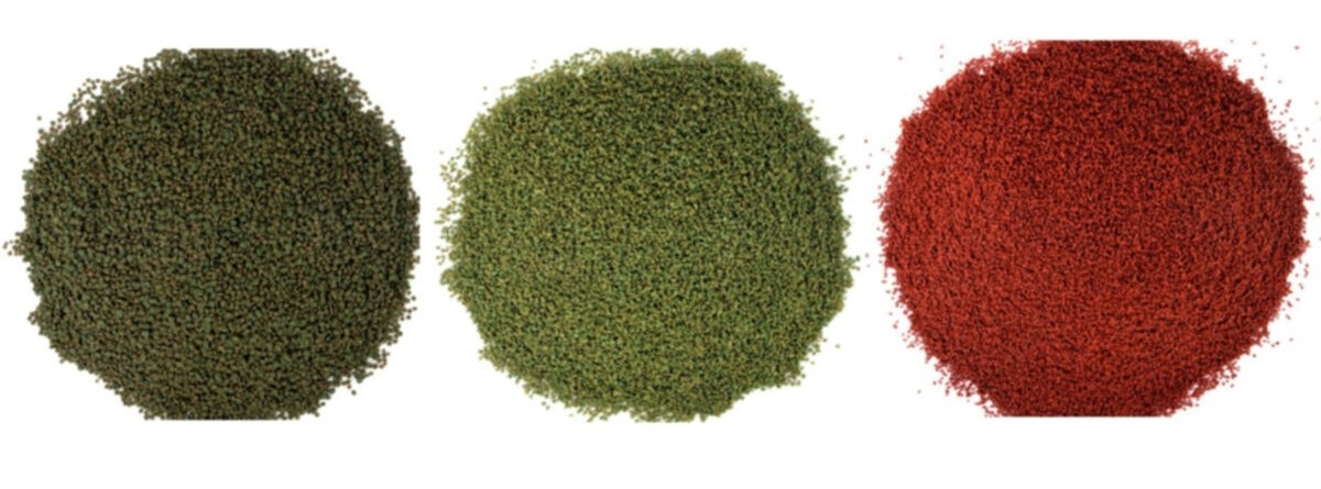Amore Tropheus Veggie 3 Kg ve Cichlid Green 3 Kg ve Cichlid Red 3kg Kova