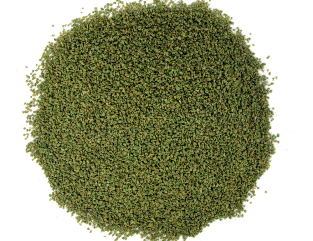 CICHLID GREEN GRANULES MALAWİ AMERİKAN TANGANYİKA CİKLET SPIRULINA BALIK YEMİ 3 KG KOVA