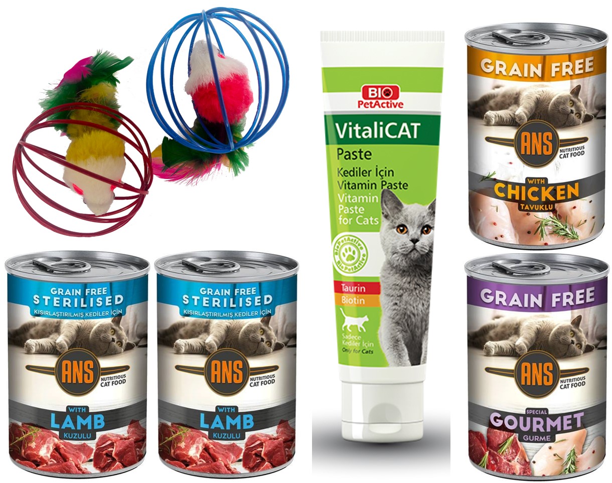 Daisy Vitalicat + çember Oyuncak + Steril Kuzu + Tavuk + Karışık Etli Gurme Kedi Konservesi 2+2+1+1