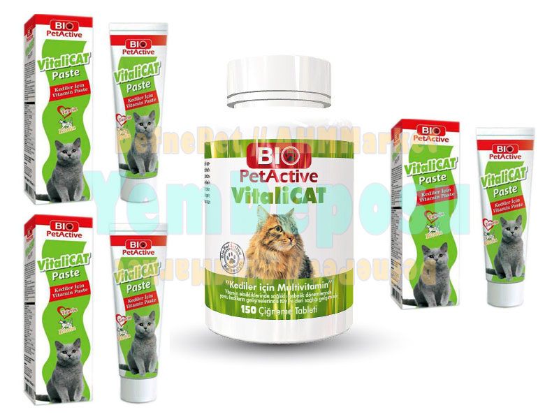 VİTALİCAT PASTE 3 X 100 ML + VİTAMİN KAMPANYA