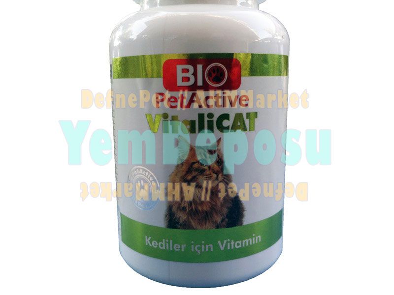 VİTALİCAT PASTE 3 X 100 ML + VİTAMİN KAMPANYA