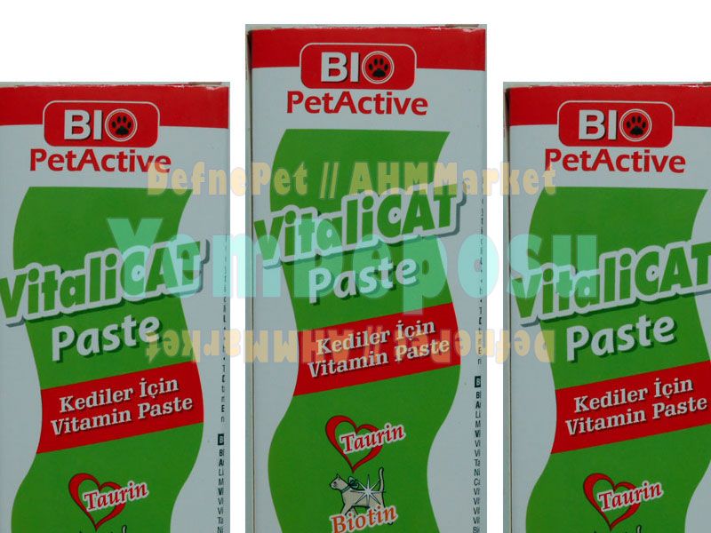 VİTALİCAT PASTE 3 X 100 ML + VİTAMİN KAMPANYA