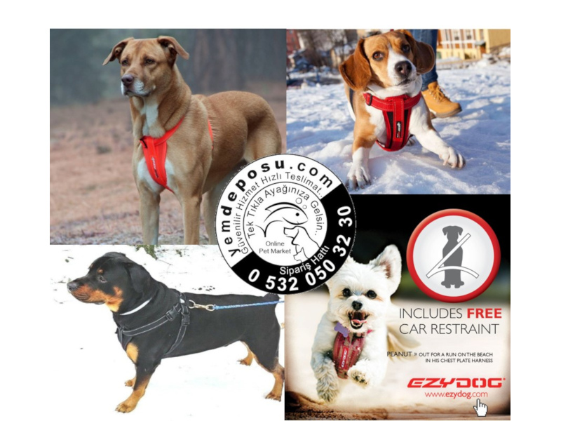 EZYDOG CHEST PLATE XXL BLACK