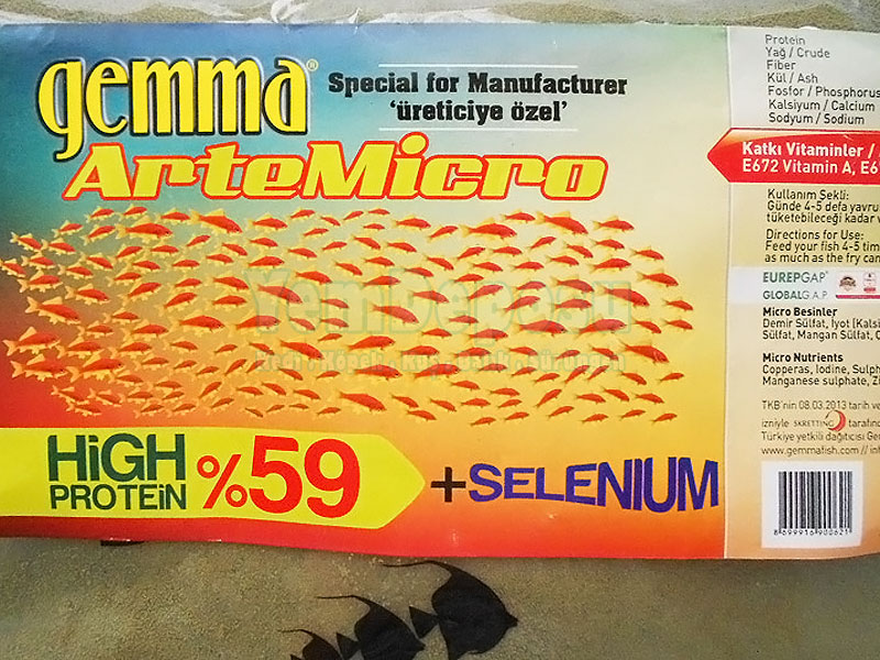 GEMMA ARTEMİA ARTEMICRO 100 GR AÇIK