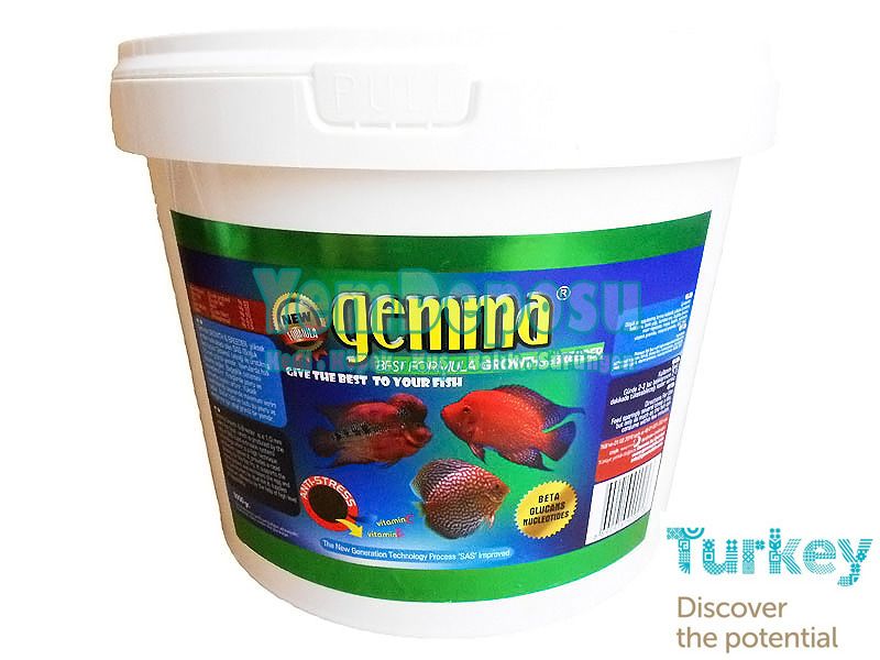 GEMMA GROWTH YAVRU BÜYÜTME YEMİ 50 GR AÇIK