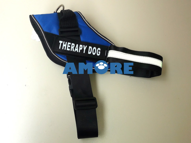 THERAPY DOG KÖPEK GÖĞÜS TASMASI MAVİ