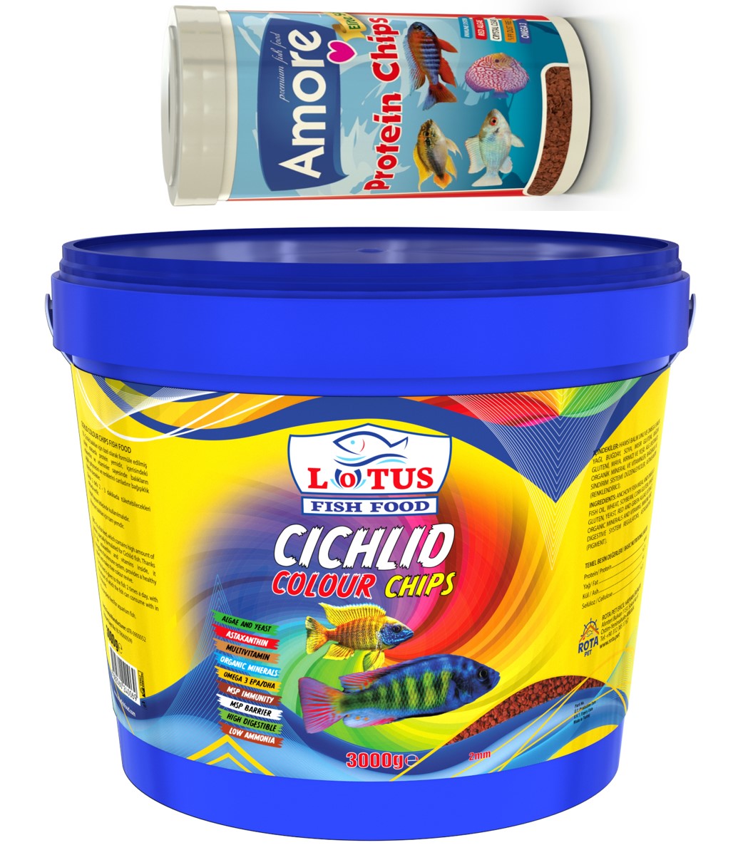 Lotus Cichlid Colour Chips 3 Kg Kova Ve Amore Pro Protein Chips 250 Ml Malawi Renklendirme Balık Yemi