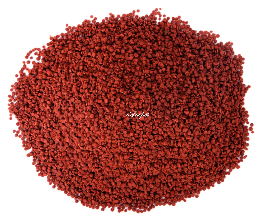 LOTUS CİCHLİD COLOUR CHİPS 860 GR POŞET