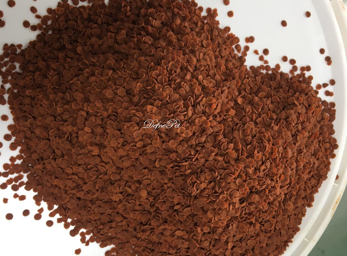 LOTUS CİCHLİD JUMBO CHİPS 1 LT 300 GR KUTU İRİ BÜYÜK PROTEİN BALIK YEMİ