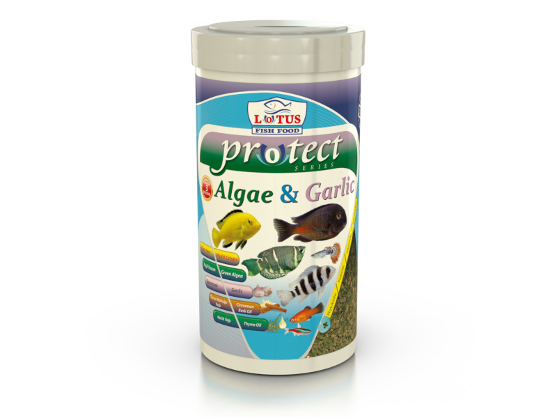 Lotus Protect Algae Garlic Pro Chips 2400g Cips Kova Balık Yemi