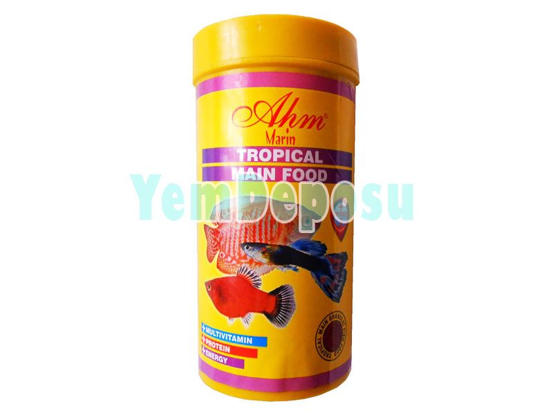 AHM TROPİCAL MAIN FOOD 250 ML KUTU