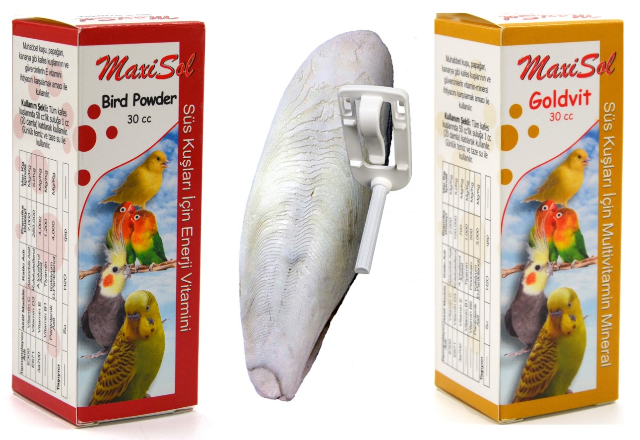 Maxısol Kuş Vitamin Seti ötüm Ve Enerji Goldvit, Bird Powder, Kalamar Kemiği