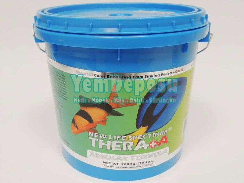 NLS THERA A REGULAR FORMULA 100 GR AÇIK