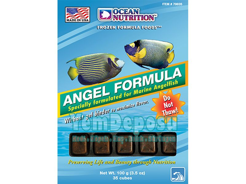 OCEAN NUTRITION FROZEN ANGEL FORMULA 100 GR