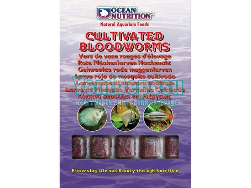 CULTIVATED BLOODWORMS KANKURDU 2 X 100 GR