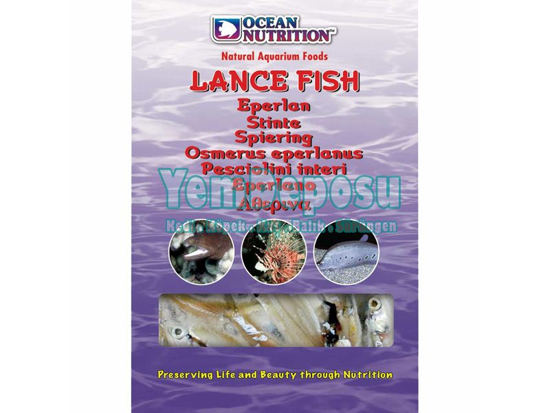 OCEAN NUTRITION LANCE FISH 100 GR