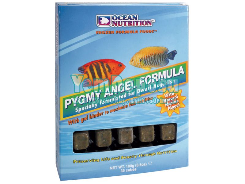 OCEAN NUTRITION FROZEN PYGMY ANGEL FORMULA 100 GR