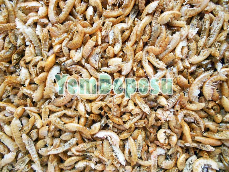 PRODAC GAMMARUS KAPLUMBAĞA YEMİ 1 KG KOVA