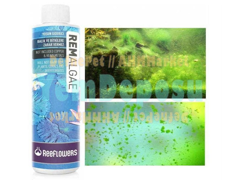 REM ALGAE YOSUN GİDERİCİ 3000ML