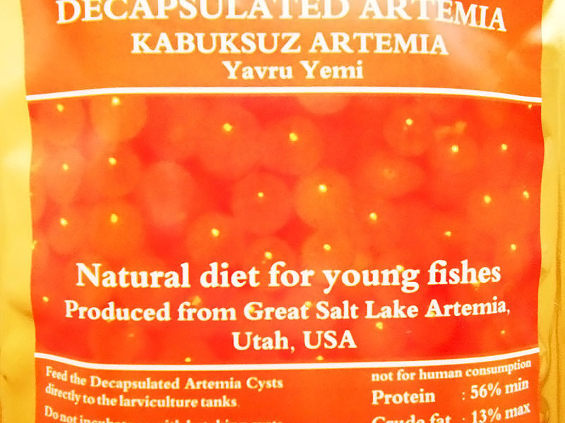 KABUKSUZ ARTEMİA 100 GR ORJİNAL POŞET