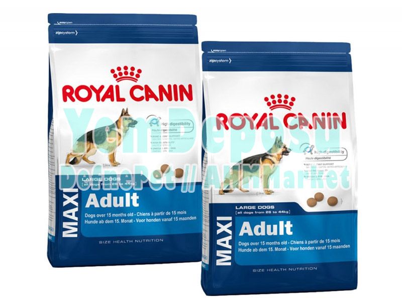 ROYAL CANIN MAXI ADULT KÖPEK MAMASI 15 KG