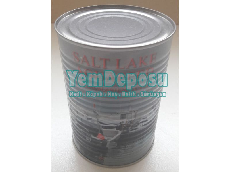 SALT LAKE ARTEMİA 25 GR AÇIK + MEÇ ÜRETİM FİLTRESİ