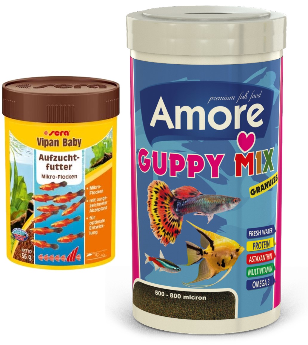 Amore Guppy Mix Granules 1000ml Kutu Ve Sera Vipan Baby 100ml Kutu Tropikal Yavru Balık Yemi