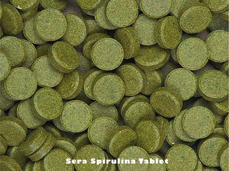 SERA WELS CHİPS 250 ML KUTU + SERA SPİRULİNA TABLET 50 ADET